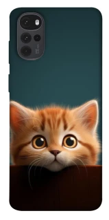 Чохол на Motorola Moto G22 Чохол Кошеня фото 1 з 1