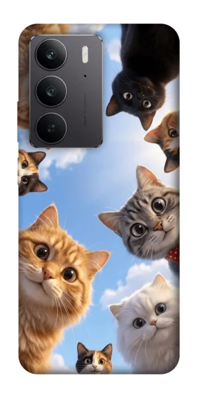 Чохол на Realme C75 Cats фото 1 з 1