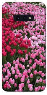 Чехол на Samsung Galaxy S10e Flowers v9 фото 1 из 1