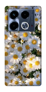 Чохол на Infinix Note 40 4G Поле ромашок фото 1 з 1