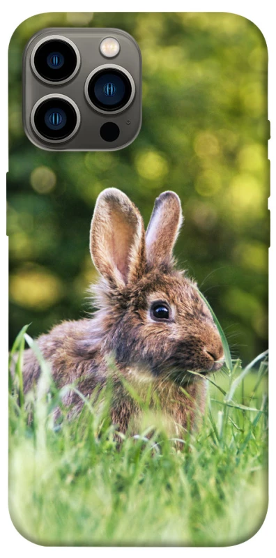 Чохол на Apple iPhone 13 Pro Max (6.7") Кролики фото 1 з 1