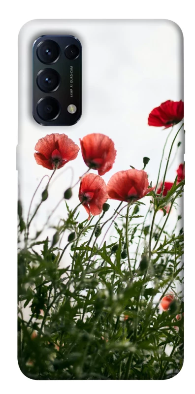 Чехол на Oppo Reno 5 4G Поле маков фото 1 из 1