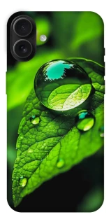 Чохол на Apple iPhone 16 Plus Flowers v16 фото 1 з 1