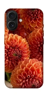 Чохол на Apple iPhone 16 Flower1 фото 1 з 1
