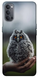 Чохол на Oppo Reno 4 Совеня фото 1 з 1