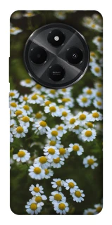 Чехол на Xiaomi Poco M7 Ромашки v13 фото 1 из 1