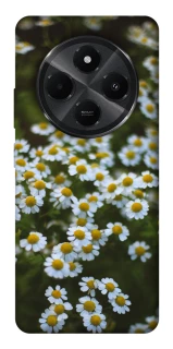 Чехол на Xiaomi Redmi A4 Ромашки v13 фото 1 из 1