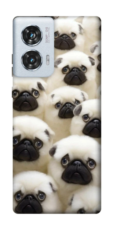 Чохол на Motorola Edge 50 Fusion Doggy Pug Love фото 1 з 1