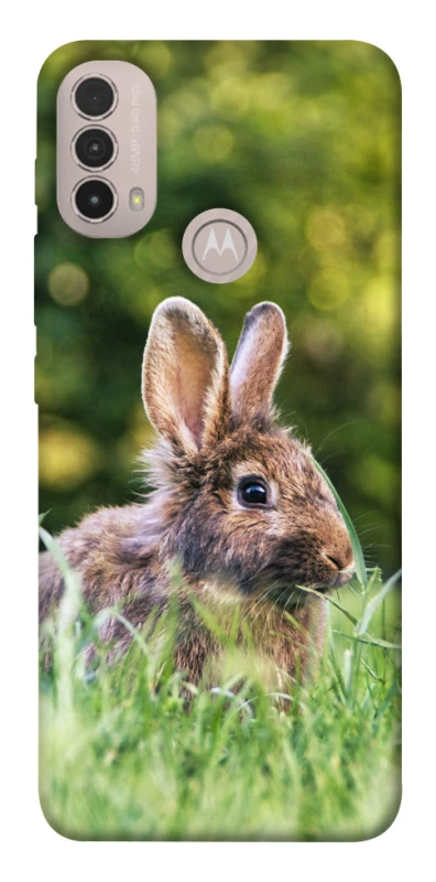 Чохол на Motorola Moto E40 Кролики фото 1 з 1