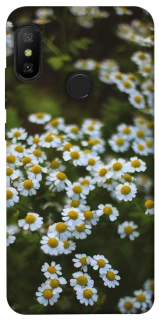 Чохол на Xiaomi Mi A2 Lite / Xiaomi Redmi 6 Pro Ромашки v13 фото 1 з 1