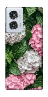 Чехол на Motorola Edge 50 Fusion Secret Garden фото 1 из 1
