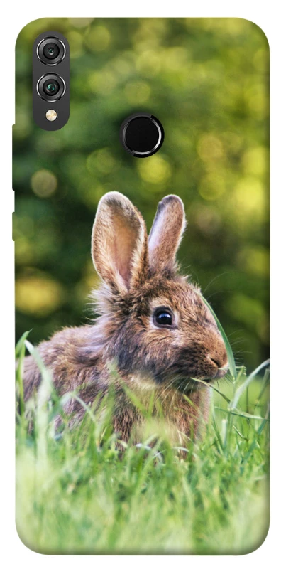 Чехол на Huawei Honor 8X Кролики фото 1 из 1