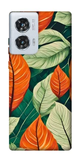 Чохол на Motorola Edge 50 Fusion Leaves фото 1 з 1