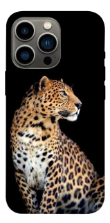 Чохол на Apple iPhone 13 Pro (6.1") Leopard v2 фото 1 з 1