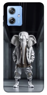 Чехол на Motorola Moto G84 Слон v2 фото 1 из 1