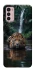 Чехол на Motorola Moto G42 Leopard in water фото 1 из 1