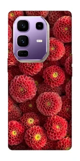 Чохол на Infinix Note 50 Pro+ Midnight1 фото 1 з 1