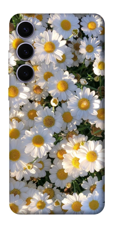 Чохол на Samsung Galaxy S25+ Поле ромашок фото 1 з 1