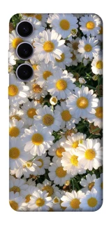 Чохол на Samsung Galaxy S25+ Поле ромашок фото 1 з 1