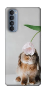 Чохол на Oppo Reno 4 Pro Bunny фото 1 з 1
