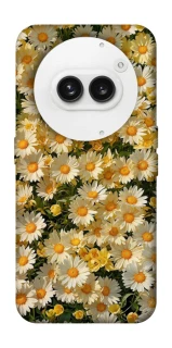 Чохол на Nothing Phone (2a) Camomile фото 1 з 1