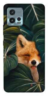 Чохол на Motorola Moto G72 Fox фото 1 з 1