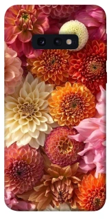 Чехол на Samsung Galaxy S10e Bouquet фото 1 из 1