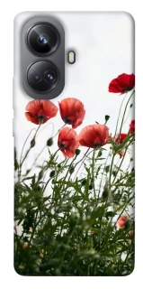 Чехол на Realme 10 Pro+ Поле маков фото 1 из 1