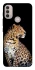 Чохол на Motorola Moto E40 Leopard v2 фото 1 з 1