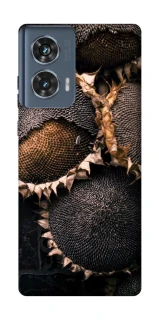 Чохол на Motorola Edge 50 Dreams2 фото 1 з 1