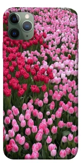Чехол на Apple iPhone 11 Pro Max (6.5") Flowers v9 фото 1 из 1