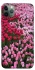 Чехол на Apple iPhone 11 Pro Max (6.5") Flowers v9 фото 1 из 1