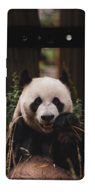 Чехол на Google Pixel 6 Pro Панда фото 1 из 1
