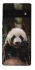 Чехол на Google Pixel 6 Pro Панда фото 1 из 1