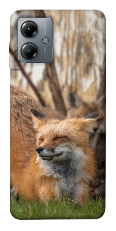 Чохол на Motorola Moto G14 Лисиця фото 1 з 1
