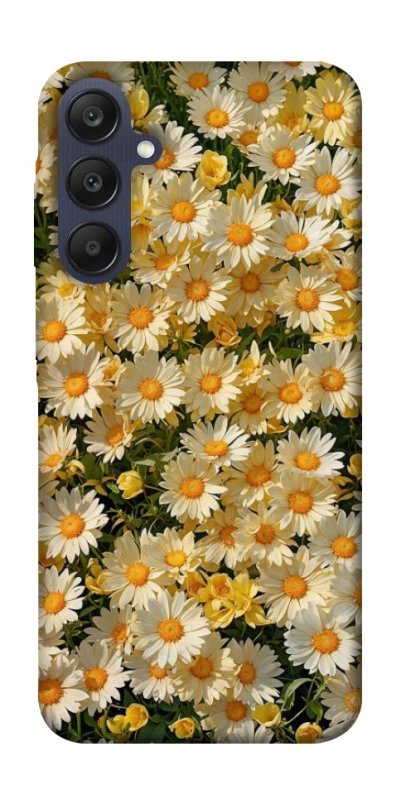 Чохол на Samsung Galaxy A25 5G Camomile фото 1 з 1