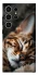 Чохол на Samsung Galaxy S25 Ultra Cat paws фото 1 з 1