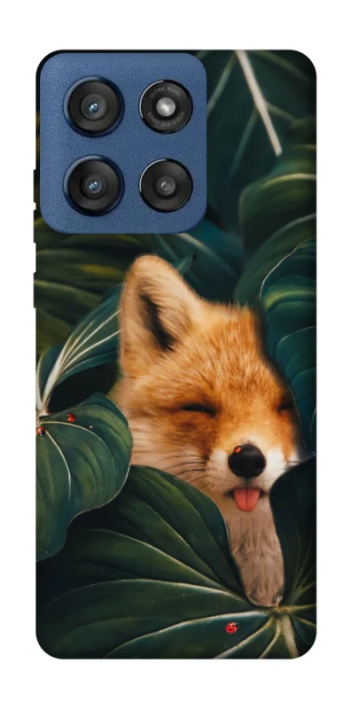 Чехол на Motorola Edge 60 Stylus Fox фото 1 из 1