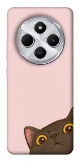 Чохол на Xiaomi Redmi 14C / Poco C75 Peeping cat фото 1 з 1