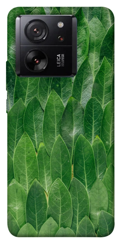 Чохол на Xiaomi 13T Pro Листя фото 1 з 1