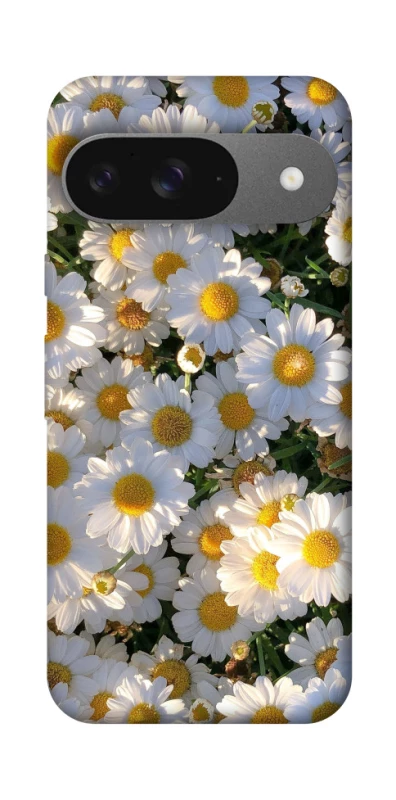 Чехол на Google Pixel 10 Поле ромашек фото 1 из 1