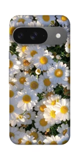 Чехол на Google Pixel 10 Поле ромашек фото 1 из 1