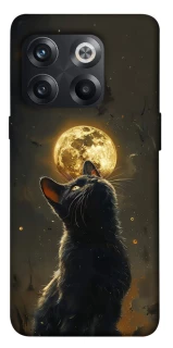 Чехол на OnePlus 10T Кот под луной v2 фото 1 из 1