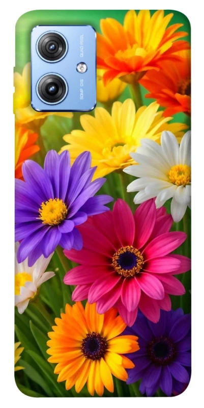 Чохол на Motorola Moto G84 Flowers v32 фото 1 з 1