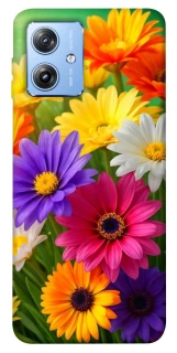 Чехол на Motorola Moto G84 Flowers v32 фото 1 из 1