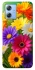 Чохол на Motorola Moto G84 Flowers v32 фото 1 з 1