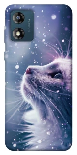 Чехол на Motorola Moto E13 Snow cat фото 1 из 1
