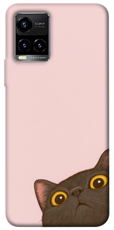 Чохол на Vivo Y21 / Y33s Peeping cat фото 1 з 1