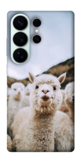 Чохол на Samsung Galaxy S26 Ultra Лама фото 1 з 1