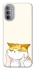 Чохол на Motorola Moto G31 Cat bun фото 1 з 1